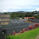 Leather fern farm in Fraijanes, Alajuela